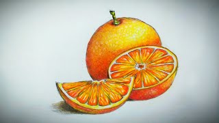 How to draw orange  pencil coloring tutorial  Freehand drawing [upl. by Jeffy661]