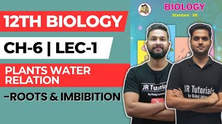 12th Biology  Chapter 6  Plants Water Relation  Lecture 1  RootImbibitionDiffusionOsmosis [upl. by Adnarrim]