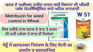 Use of Metribuzin in Wheat for weed control ਕਣਕ ਵਿੱਚ ਮੈਟਰੀਬਿਊਜਿਨ ਦੀ ਵਰਤੋ Shergill Markhai [upl. by Bigelow]