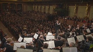 Vienna Philharmonic Orchestra New Years Concert at the Musikverein  musica [upl. by Atalayah]