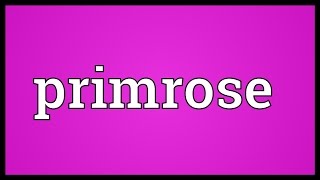 Primrose Meaning [upl. by Anirtak477]