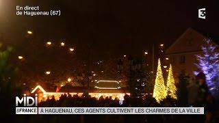 SUIVEZ LE GUIDE  À Haguenau ces agents cultivent les charmes de la ville [upl. by Birdie]