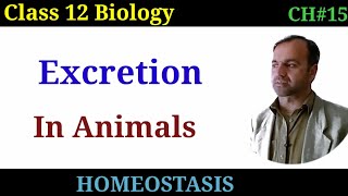 Excretion  Excretion in animals of Different environment  Osmoregulation [upl. by Sussman]