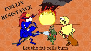 The low grade inflammation of insulin resistance [upl. by Eyatnod315]