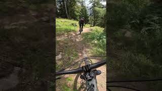 So viele Möglichkeiten auf der DHLine in Bellwald🤘enduromtb mtb mountainbike shorts short [upl. by Spike]