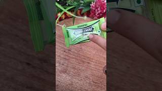 Sugar free Doublemint Peppermint Flavour Chewing gum yummy tasty viral chewinggum [upl. by Yrro]