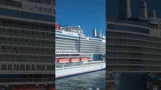 carnival magic in Cozumel Mexico November 12 2024 [upl. by Darnall]