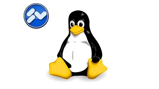 Linux Windows 10 als VM installieren [upl. by Cesaria]