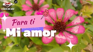 Mensaje corto de amor💖💖🌸 [upl. by Elleiad]