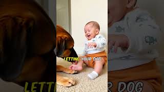 New Baby Meets Family Dog for the First Time  MustKnow Safety Tips for Parents [upl. by Narine]