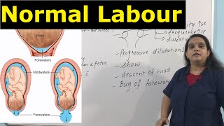 🤱 Normal Labour 🤱 Eutocia amp Dystocia 🤱 True Labour Pain amp False Labour Pain 🤱 Nursing Lecture [upl. by Ramin181]