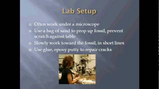 Introduction to Paleontology Preparation and Curation [upl. by Tega]