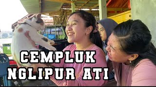 BTS PLOSOK DIGITAL TERBARU  BARDOLO SIDO WAYUH MAK CEMPLUK NGLIPUR ATI [upl. by Etterrag]