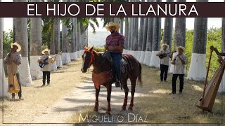 Miguelito Díaz  El Hijo de la Llanura Vídeo Oficial [upl. by Nnaylloh364]