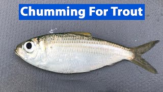 Live Bait Chumming Trick For Speckled Trout [upl. by Rafaelita]