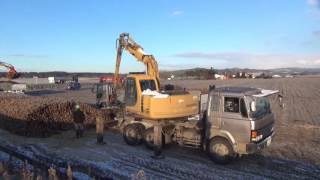 Loading of sugar beet ﾋﾞｰﾄ積込 [upl. by Normi]