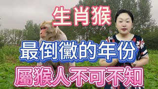 生肖猴！最倒霉的年份！屬猴人哪一年最難熬？屬猴人千萬要小心提防！風水 生肖 運勢 2024 佛教生肖 [upl. by Agarhs297]