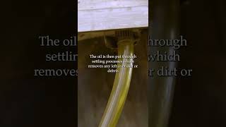 How its made Camelina Oil I Washington Grown [upl. by Lichter717]