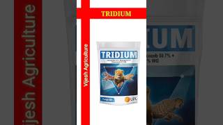 Upl New fungicide shortvideo Tridium best fungicide [upl. by Corkhill]