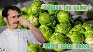 ¿ODIAS las COLES de Bruselas MIRA ESTE VIDEO  Probando la verdura que más odio [upl. by Darice]