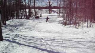 Skijor Michigan Tech cross country ski trail Pat amp Simon [upl. by Rafat]