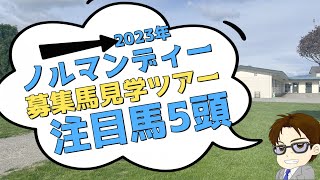 【募集馬検討】ノルマンディーOC2023年募集馬見学ツアーでよく見えた馬5頭をご紹介 [upl. by Brill75]