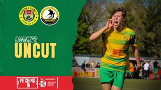 Linnets Uncut Widnes H [upl. by Zippel]