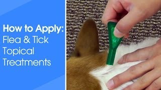 How to Apply Flea amp Tick Topical Treatments [upl. by Tima]