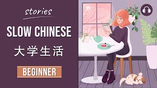 大学生活  Slow Chinese Stories Beginner  Chinese Listening Practice HSK 23 [upl. by Helse]