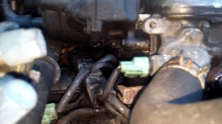 97 honda accord coolant leak [upl. by Kcirted]