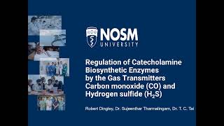 NHRC 2024 Theme 2 Regulation of Catecholamine Biosynthetic Enzymes DinglyR [upl. by Elahcim]