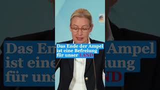 Alice Weidel und Tino Chrupalla sprechen Klartext afd shortvideo news shorts afdwählen [upl. by Aissila]