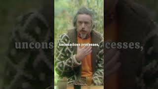 Alan Watts Personality Image [upl. by Gnagflow]