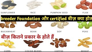 बीज़ कितने प्रकार का होता है  Breeder Foundationcertified Beej kya hota hain  seeds certified [upl. by Dessma]