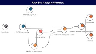 RNASeq Features in OmicsBoxBlast2GO [upl. by Nikolaus]