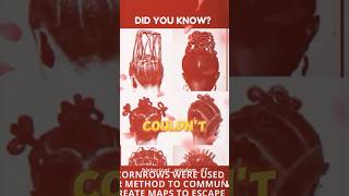 Did you know this facts reaction cornrows [upl. by Aicac]