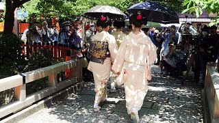 Geisha Hassaku in Gion Kyoto 京都 祇園「八朔」 巽橋を行く舞妓さん Ⅰ [upl. by Everard]