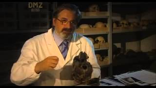 Pompeii Ask the Expert QampA with Michio Kaku  Part 3 [upl. by Osicnarf]