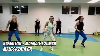 Kamaleon  Mandale  ZUMBA [upl. by Ahsoyek]