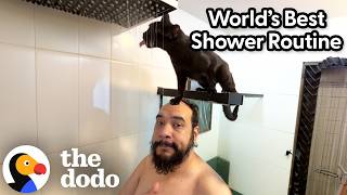 Cat Stands On Dads Head While Hes Showering  The Dodo [upl. by Relyuc]