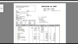 PARAMÉTRAGE ET ÉDITION DES BULLETINS DE PAIE AVEC SAGE PAIE ET RH [upl. by Aneehsar]