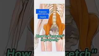 The Best Way to Loosen Up Your Iliopsoas Muscle [upl. by Kentigera]