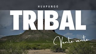 Buena Musica para Bailar TRIBAL 2024  Zacatecas  Durango [upl. by Nodnab]