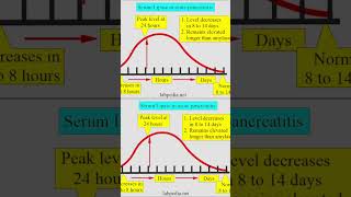 La Amilasa y Lipasa en Pancreatitis Aguda pancreas pancreatitis [upl. by Redna]