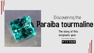 Discovering the Paraiba tourmaline  the story of this enigmatic gem探索帕拉依巴碧玺：这种神秘宝石背后的故事 [upl. by Nagap541]