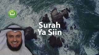 Surah YASIN Merdu dan Menyejukkan  Mishari Rasyid AlAfasy  Tadabbur Daily [upl. by Ardnaxela]