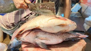 Amazing Big Tilapia Fish Cutting Skills Live  Big Tilapia Fish Cutting Skills In Bangladesh [upl. by Armalda838]