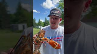 Lobster in Maine  Carnivore Diet carnivorediet diet lobster [upl. by Nort]