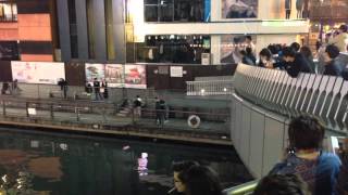 Man jumps into Dotonbori river in Osaka Jan 2016 [upl. by Krahling]