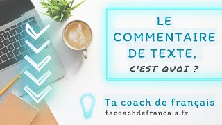 Le commentaire de texte en moins de 5 minutes  💡💪🏻 [upl. by Wills]